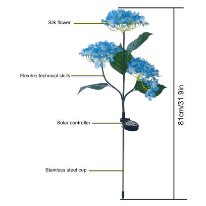 BloomBright | Transformeer Je Tuin met Magische Bloemen