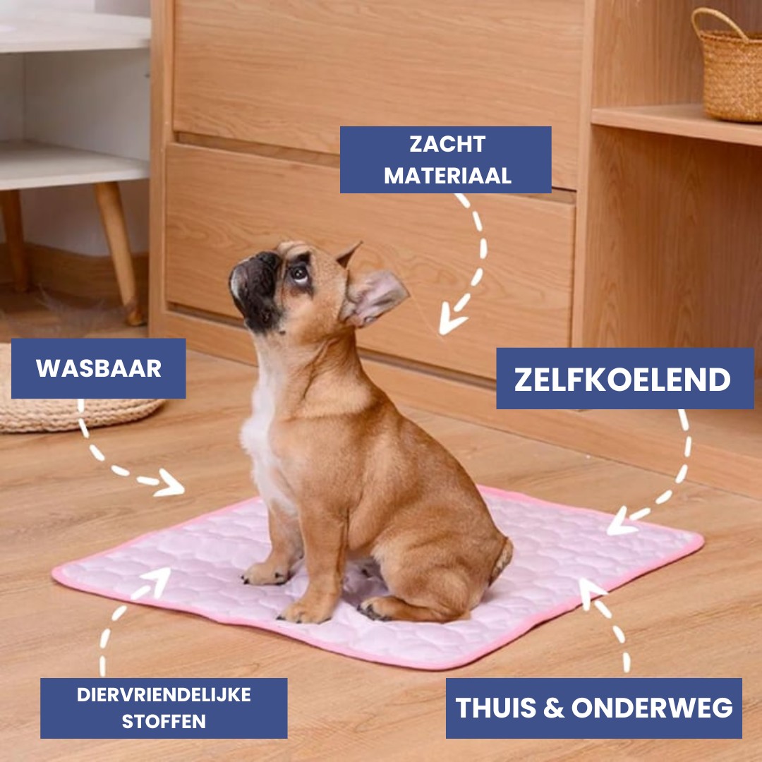 CoolPet Chill Mat | De Ultieme Zelfkoelende Mat voor Honden en Katten