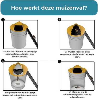 Pestsafe | Effectieve en Diervriendelijke Ongediertevanger