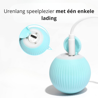 PurrMotion | Slimme Rollende Kattenbal