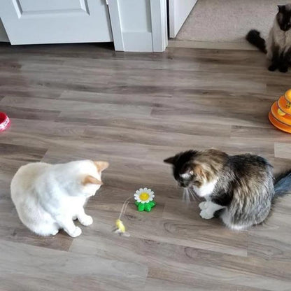 KittyChase | Interactief Vogelspeelgoed voor Katten