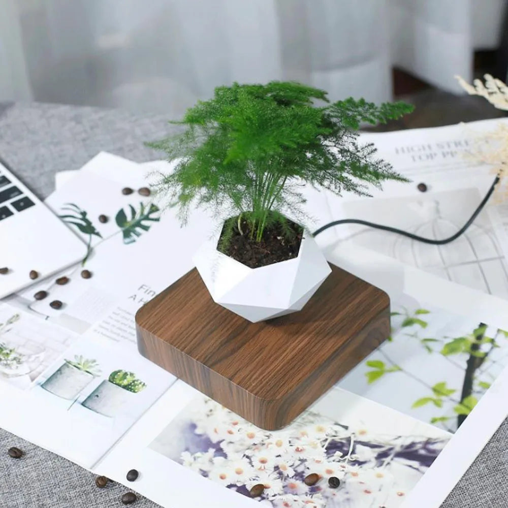 FloatPlant | Zwevende Plant voor Magische Groene Decoratie