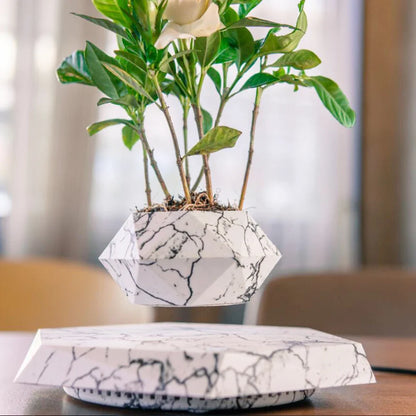 FloatPlant | Zwevende Plant voor Magische Groene Decoratie