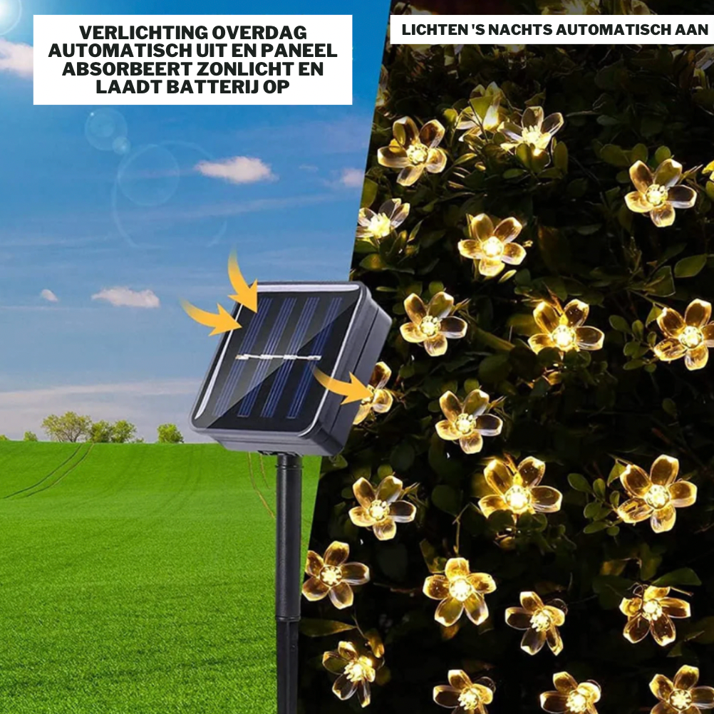 SolarBloom Lights | Duurzame Solar LED Verlichting