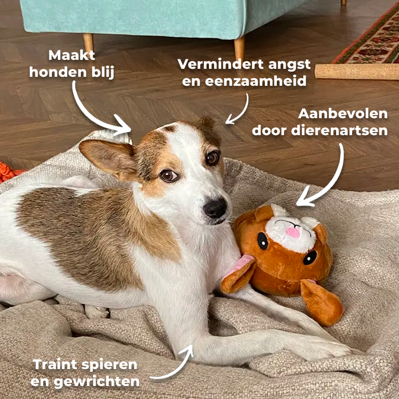 Springbal | Het Ultieme Speelmaatje voor je Hond