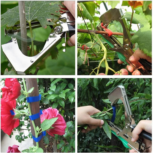 PlantSteady Straps | Laat jouw Planten Mooi Rechtop Staan