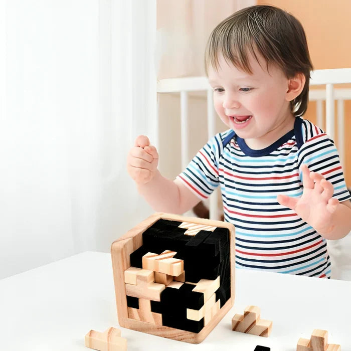 BrainTeaser | 3D Houten Puzzel