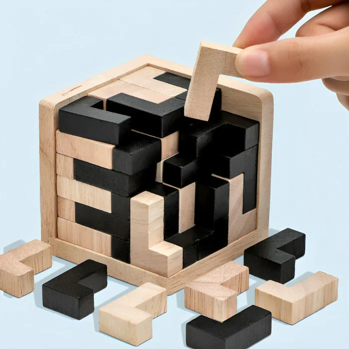 BrainTeaser | 3D Houten Puzzel