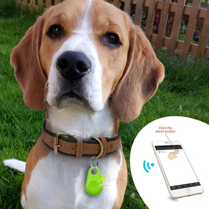 Paw Tracker Pet GPS: Houd Je Huisdier Veilig met Nauwkeurige Locatiebepaling