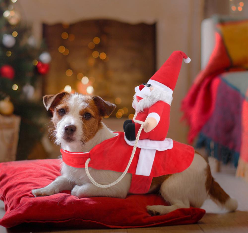 Kerstoutfit voor Honden – Stijlvolle en Warme Kleding voor de Feestdagen