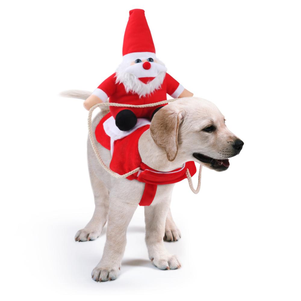 Kerstoutfit voor Honden – Stijlvolle en Warme Kleding voor de Feestdagen